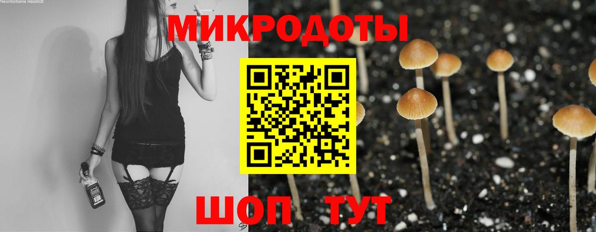 Псилоцибиновые грибы Psilocybine cubensis Мурманск